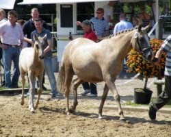 Zuchtstute Nawarina (Deutsches Reitpony, 1999, von Brillant)