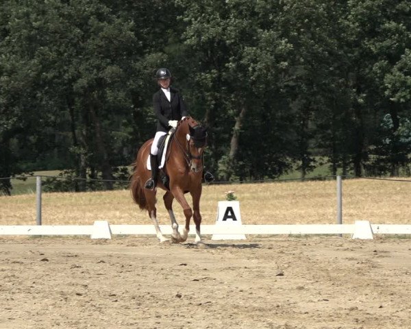 Reitturnier Wohlesbostel 2022