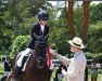 dressage horse Sky (New Forest Pony, 2004, from Nieland's Carrelet)