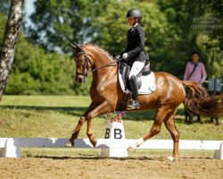 Dressurpferd Dancing Delany (Deutsches Reitpony, 2016, von Dark Dornik)