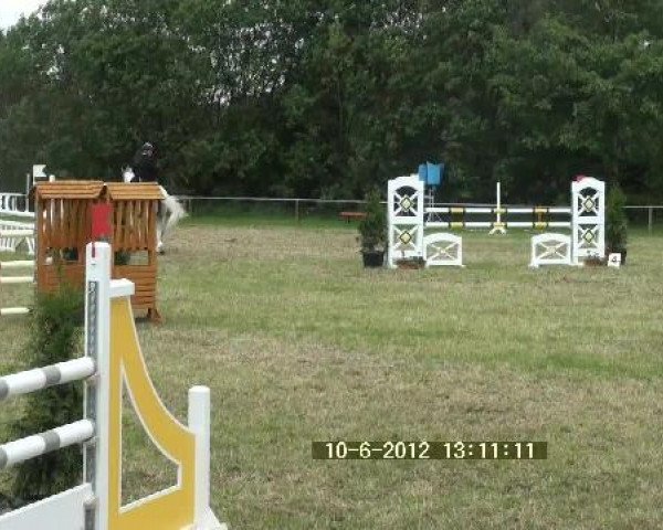 broodmare Cartagena 11 (Holsteiner, 2001, from Coronado I)
