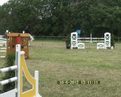 broodmare Cartagena 11 (Holsteiner, 2001, from Coronado I)