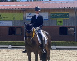 dressage horse Amazing Amy 15 (KWPN (Royal Dutch Sporthorse), 2015, from Glamourdale)