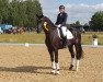 dressage horse Inspektor Barnaby (Westphalian, 2018, from Asgard's Ibiza)