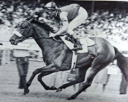 broodmare Amaranda xx (Thoroughbred, 1975, from Bold Lad xx)