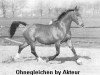 broodmare Ohnegleichen (Royal Warmblood Studbook of the Netherlands (KWPN), 1973, from Akteur)