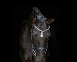 dressage horse Galida 6 (German Sport Horse, 2017, from Fürsten-Look)