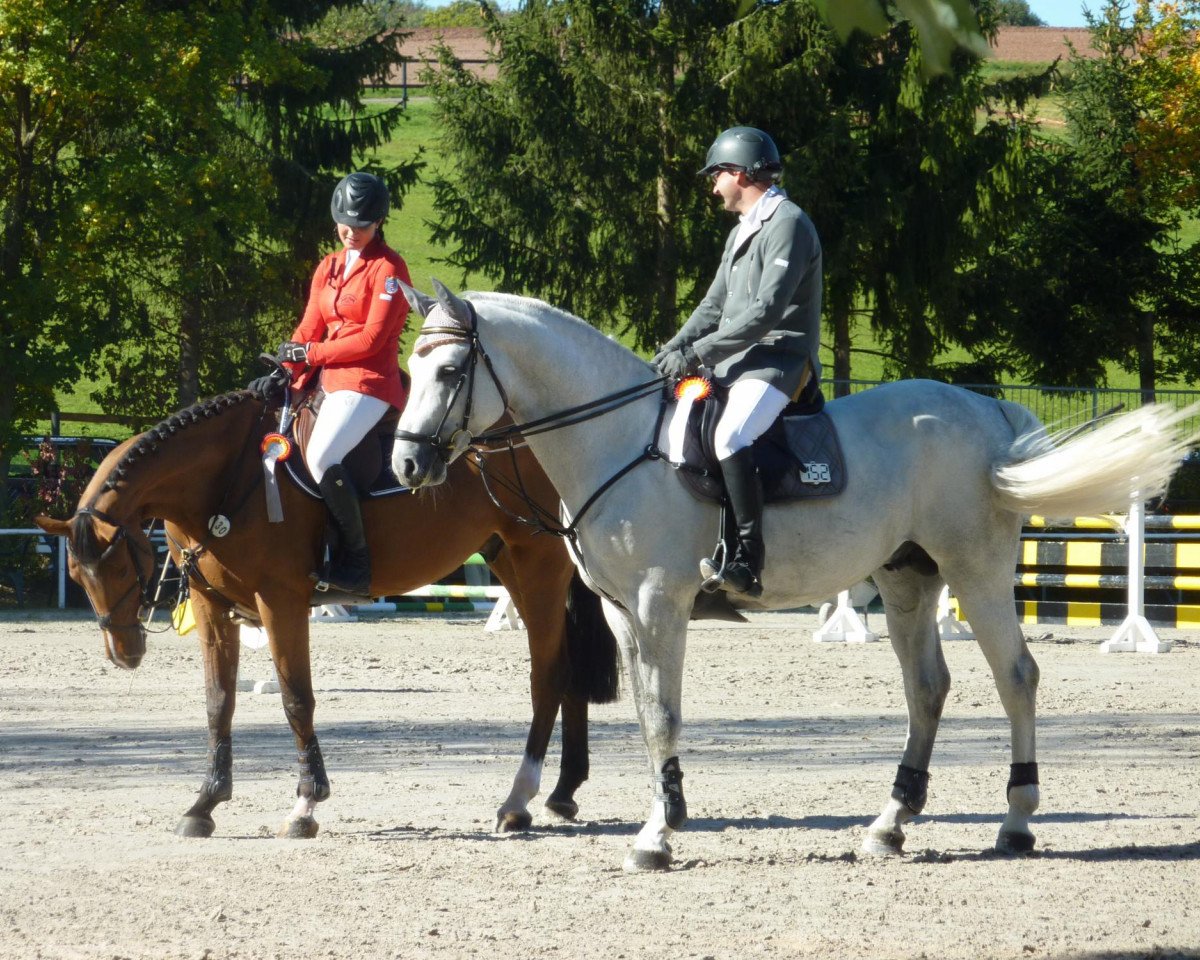 stallion Cowaldsky (Hanoverian, 2006, from Cornet Obolensky)