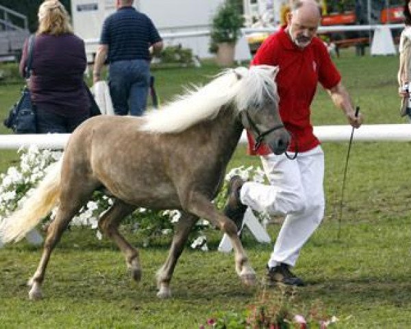 Springpferd Frau Benz von Bludschen (Deutsches Classic Pony, 2009, von Belmondo)