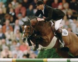 stallion Heartbreaker (KWPN (Royal Dutch Sporthorse), 1989, from Nimmerdor)