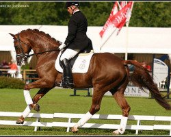 stallion Tolando (KWPN (Royal Dutch Sporthorse), 2000, from Krack C)