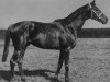 stallion Goody xx (Thoroughbred, 1942, from Admiral Drake xx)