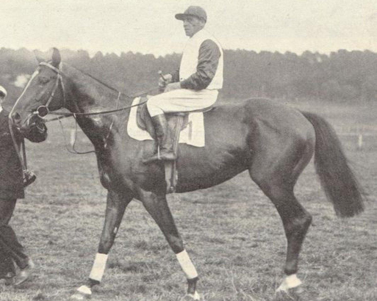 stallion Printonan Boy xx (Thoroughbred, 1920, from Printonan xx)