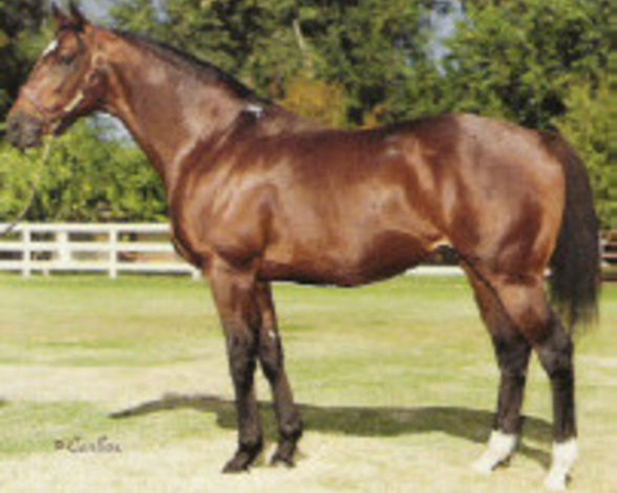 stallion Dance in Time xx (Thoroughbred, 1974, from Northern Dancer xx)