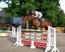 jumper Lûna ZSZ (Oldenburg show jumper, 2017, from Glasgow van het Merelsnest)