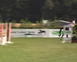 jumper First Flight's Beauty (Trakehner, 2003, from Finley M)