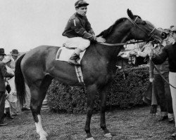 broodmare Two Lea xx (Thoroughbred, 1946, from Bull Lea xx)