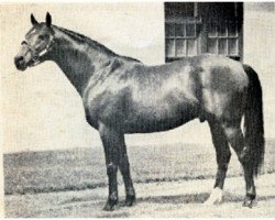 stallion On and On xx (Thoroughbred, 1956, from Nasrullah xx)