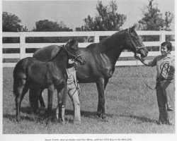 broodmare Sweet Tooth xx (Thoroughbred, 1965, from On and On xx)