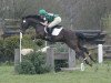 dressage horse Leading Edge 2 (Oldenburg, 1998, from Lady's King)