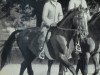 Pferd Gong (Hannoveraner, 1949, von Goldmann)