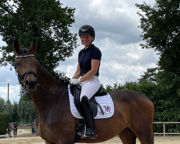 dressage horse Escort Elly (Westphalian, 2019, from Escolar)