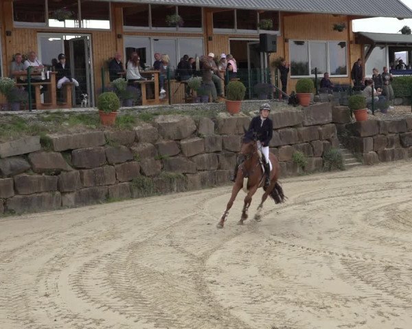Reitturnier Lindlar-Süttenbach 2022