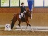 dressage horse Fidelia (Westphalian, 2003, from Freudenfeuer)