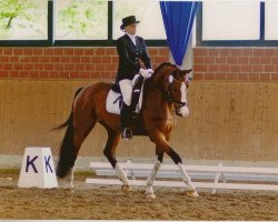 dressage horse Fidelia (Westphalian, 2003, from Freudenfeuer)