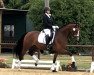 dressage horse Damsey's Favourite MPA (Hanoverian, 2017, from Damsey FRH)