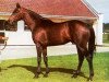 stallion Mill Reef xx (Thoroughbred, 1968, from Never Bend xx)