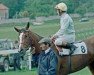 broodmare Sun Princess xx (Thoroughbred, 1980, from English Prince xx)