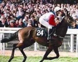 horse Pridwell xx (Thoroughbred, 1990, from Sadler's Wells xx)