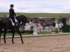 dressage horse Sole Mio 5 (Westphalian, 2004, from Show Star)