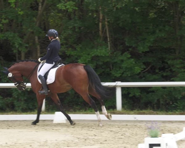 Reitturnier Hünfelden-Kirberg 2022