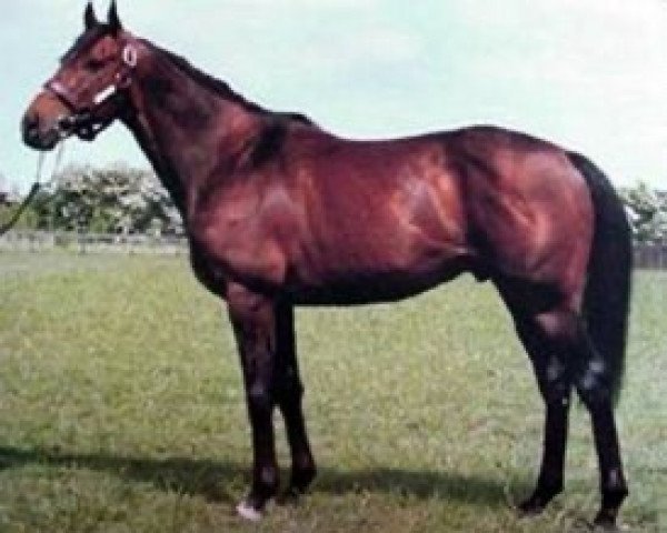 stallion Kylian xx (Thoroughbred, 1989, from Sadler's Wells xx)