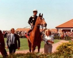 broodmare Bella Ballerina xx (Thoroughbred, 1990, from Sadler's Wells xx)