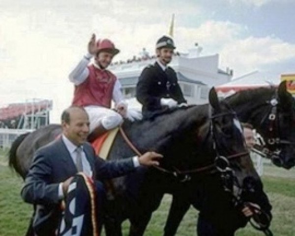 broodmare Intrepidity xx (Thoroughbred, 1990, from Sadler's Wells xx)