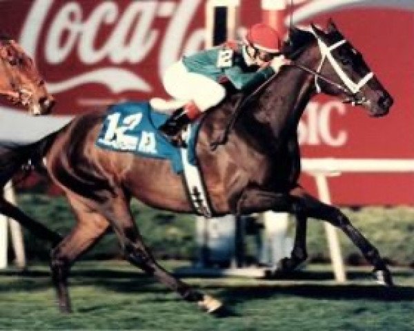 broodmare Kirov Premiere xx (Thoroughbred, 1990, from Sadler's Wells xx)