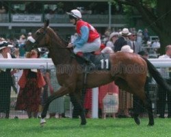 broodmare Royal Ballerina xx (Thoroughbred, 1990, from Sadler's Wells xx)