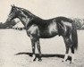 stallion Rustom Pasha xx (Thoroughbred, 1927, from Son In Law xx)