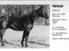 stallion Hanseat (Hanoverian, 1960, from Hansakapitän)
