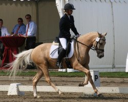 broodmare Steverheides Clair de Lune (German Riding Pony, 2009, from Classic Dancer I)