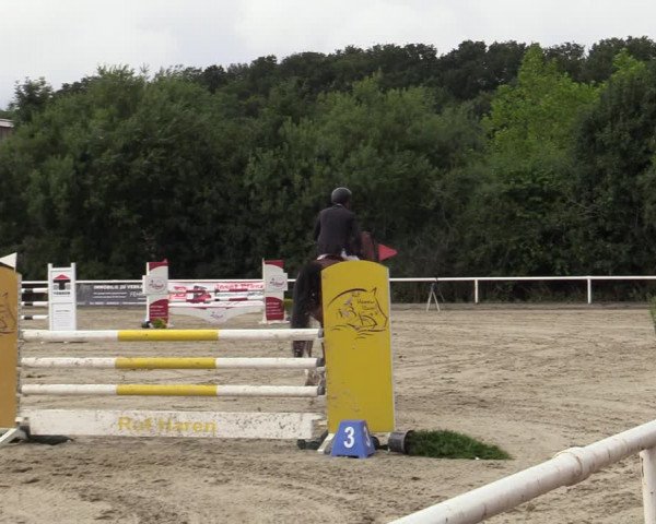 Reitturnier Haren-Raken 2022