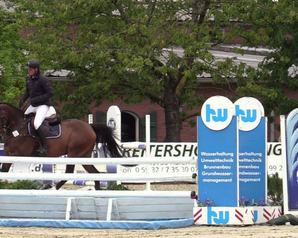 Reitturnier Haren-Raken 2022