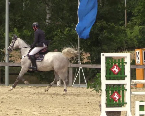 Reitturnier Münster-Roxel 2022
