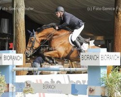 jumper Vigo (KWPN (Royal Dutch Sporthorse), 2002, from Orlando van de Heffinck)