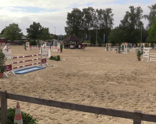 Reitturnier Münster-Roxel 2022