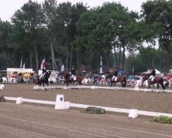 dressage horse La Fleur 44 (Oldenburg, 2003, from Londonderry)