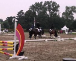 dressage horse Felipe 22 (Westphalian, 2008, from Floresco NRW)